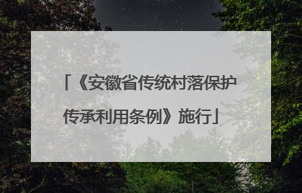 《安徽省传统村落保护传承利用条例》施行